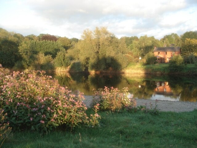 River Wye at Glasbury Looking south-east across the river as evening sun strikes the extensive Himalayan Balsm. This plant looks attractive, but is a very intrusive weed which has spread widely along the banks.