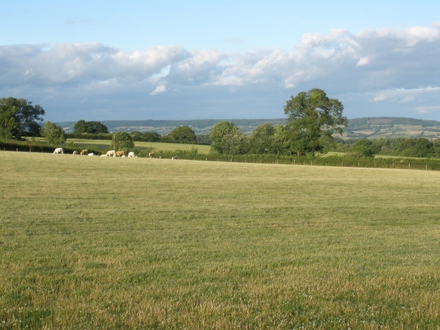 Field, near Mattocks Farm