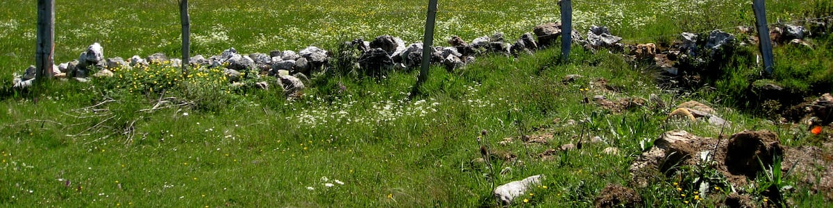 Photo "Provincia de León, España." by Xuanxu (Creative Commons Attribution-Share Alike 2.0) / Cropped from original