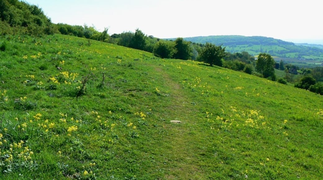 Photo "Crickley Hill Country Park" by Brian Robert Marshall (CC BY-SA) / Cropped from original