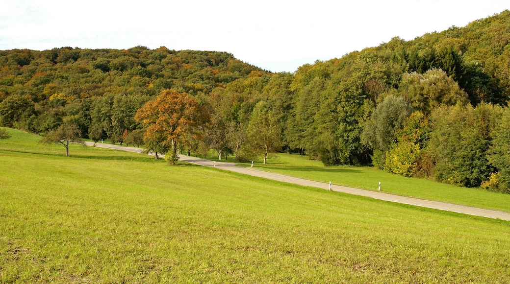 ภาพ "อุทยานธรรมชาติสโตรมเบิร์ก-ฮอยเคิลเบิร์ก" โดย A.Grünberger (CC BY) / ตัดภาพจากขนาดต้นฉบับ