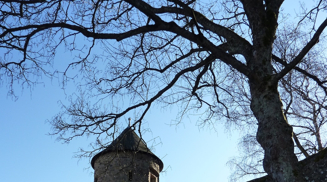 Lichtenberg Castle