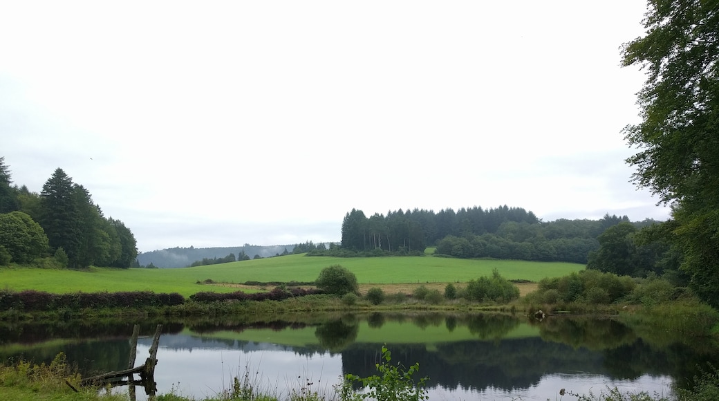 Millevaches Regional Natural Park in Limousin