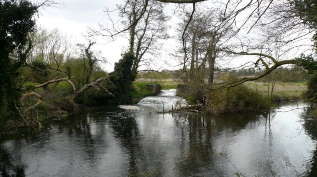 "Bylaugh"-foto av Craig Tuck (CC BY-SA) / Urklipp från original