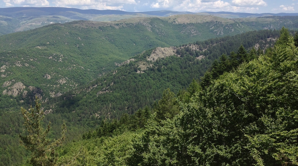 Photo "Causses and the Cévennes" by jim walton (CC BY) / Cropped from original