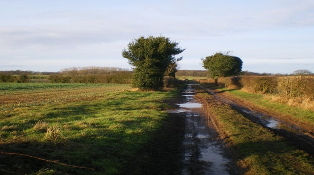 Photo "Sheriffhales" by Richard Law (CC BY-SA) / Cropped from original