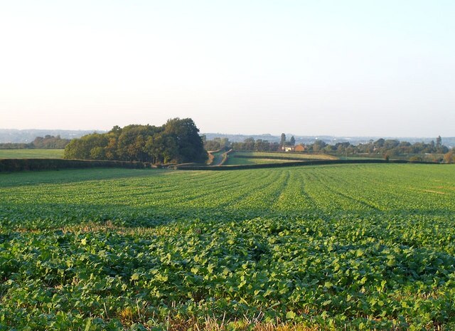 Foto „Little Houghton“ von Chris Walpole (CC BY-SA)/zugeschnittenes Original