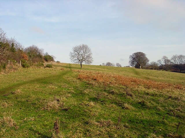 "Tickenham"-foto av Linda Bailey (CC BY-SA) / Urklipp från original