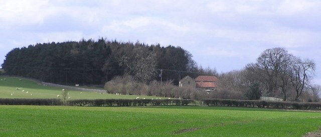 Kuva ”Melsonby” käyttäjältä Hugh Mortimer (CC BY-SA) / rajattu alkuperäisestä kuvasta