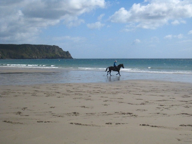 Cantering on the beach at Pendower Looking towards Nare Head on a low spring tide.