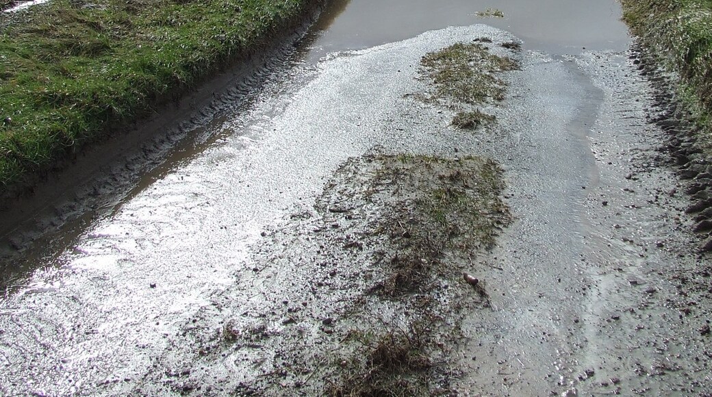 Photo "Shelfanger" by Keith Evans (CC BY-SA) / Cropped from original