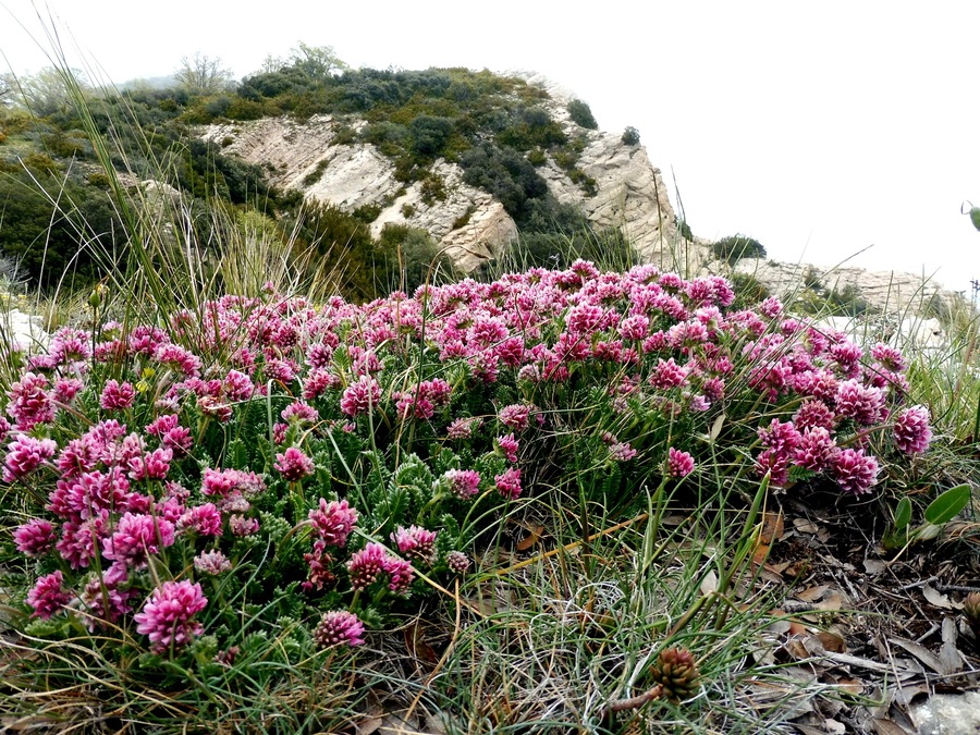 This is a a photo of a natural area in Catalonia, Spain, with id:
