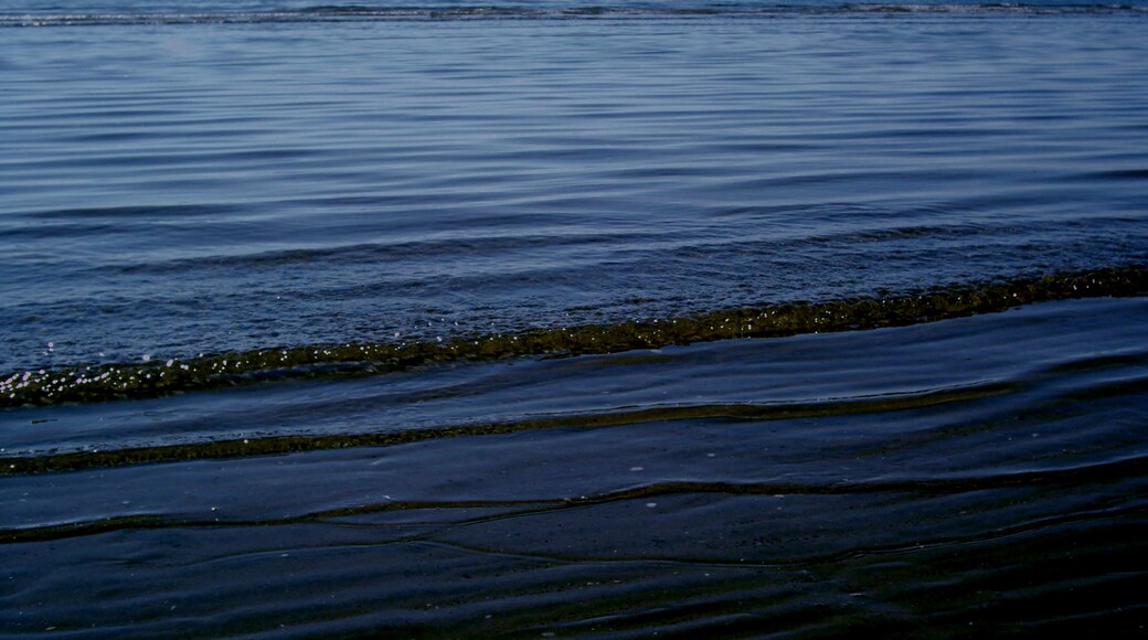 Photo "Irvine Beach" by AndrewJGallacher (CC BY-SA) / Cropped from original