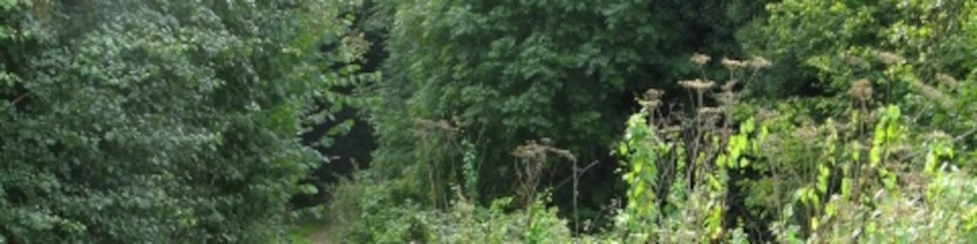 Shelsley Walsh, Worcester, England, United Kingdom