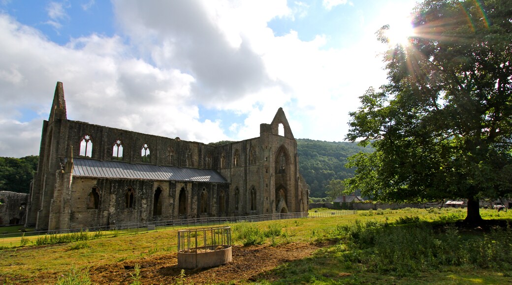 Tintern Abbey, Chepstow, Wales, United Kingdom