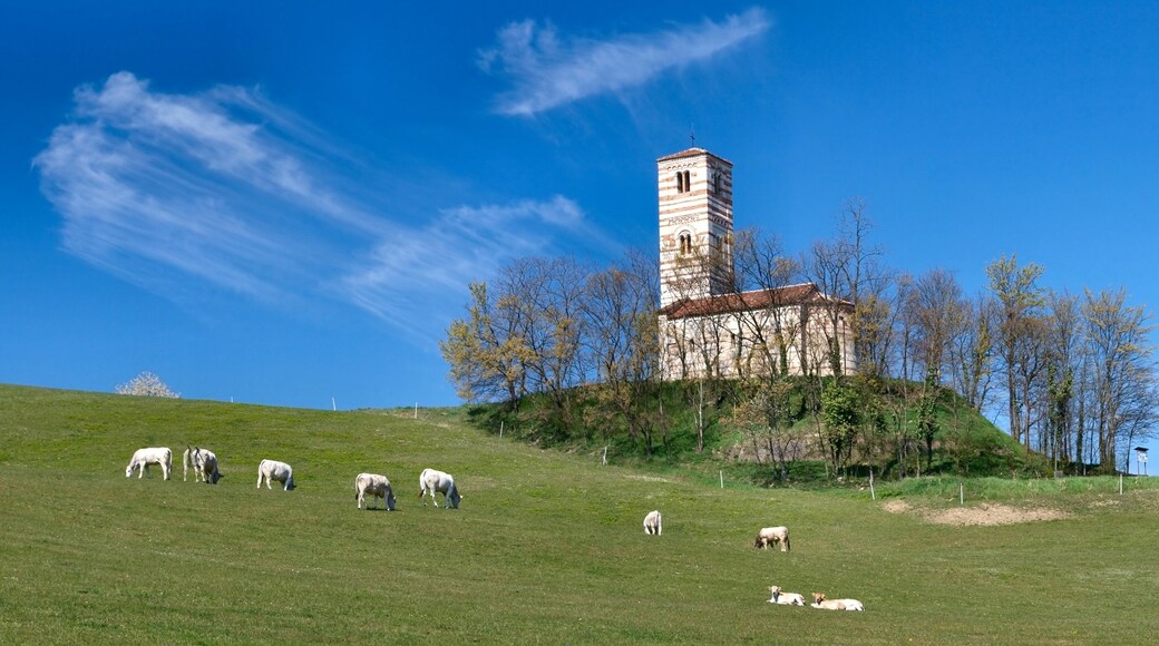 Montechiaro d'Asti, Piedmont, Italia