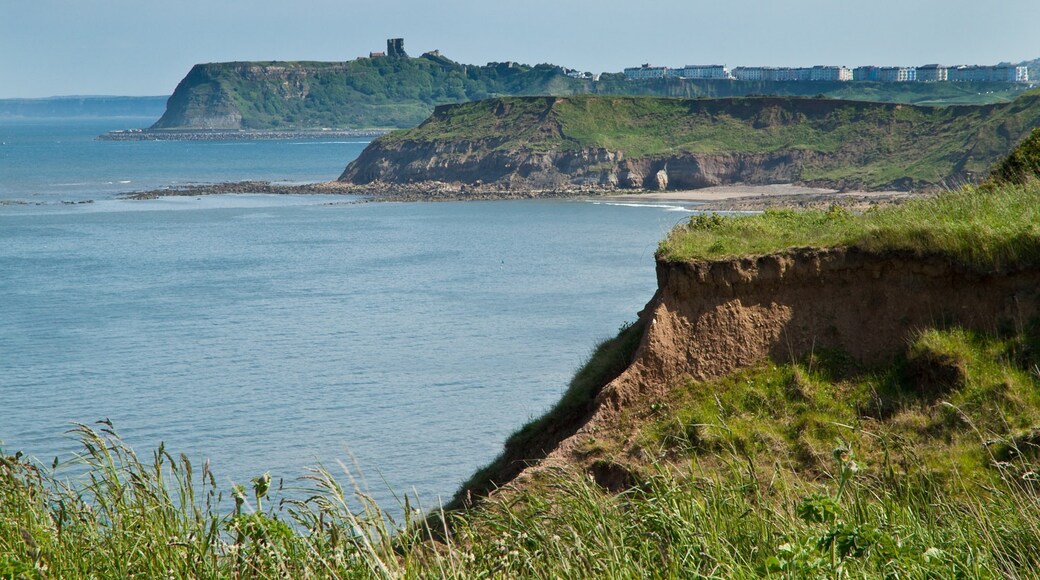 Photo "Newby and Scalby" by Paul Lakin (CC BY) / Cropped from original