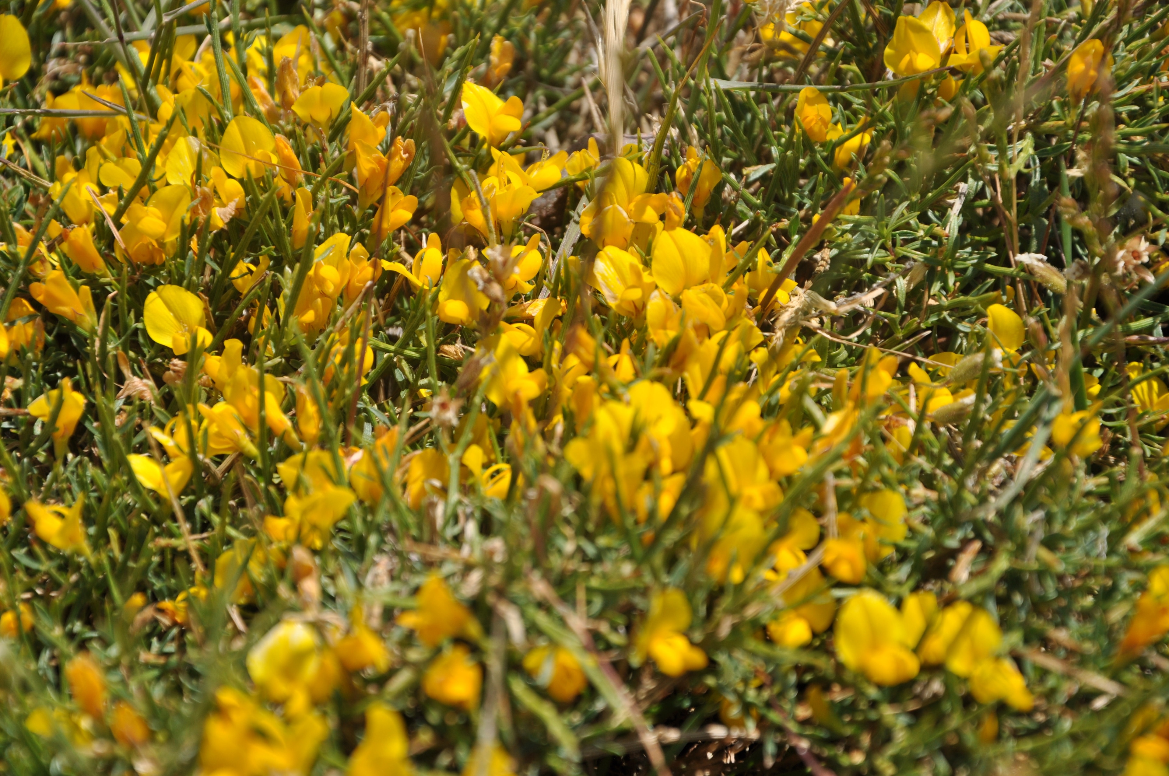 Reiseführer Ascó 2025 das Beste in Ascó entdecken Expedia.de