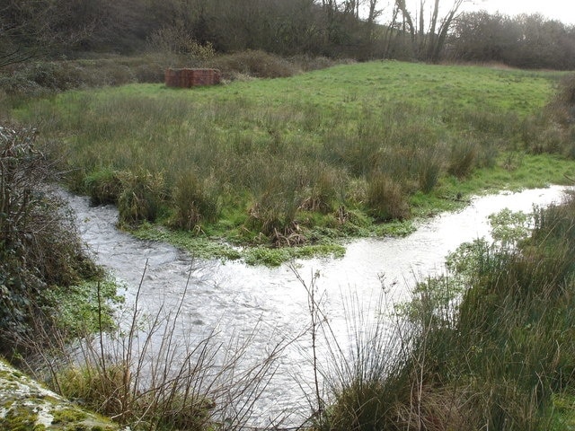 Upstream from Mullins Bridge