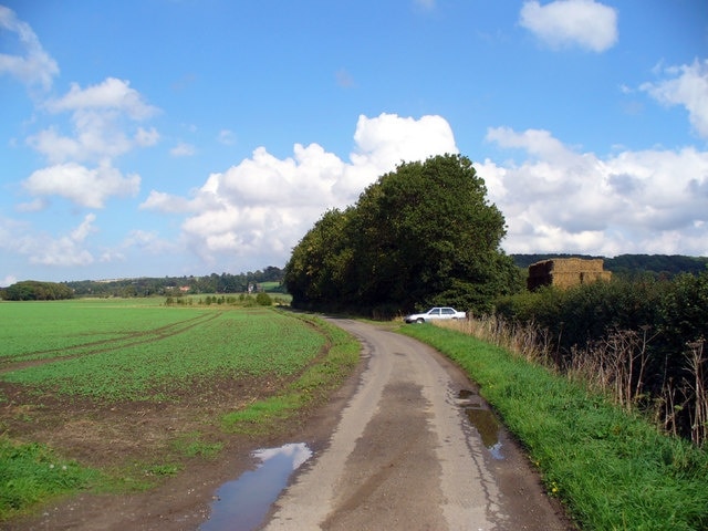 The Road to Somerby. Picture taken on the road from Somerby Low Farm looking towards the small wood called Catholic Moor Screed.