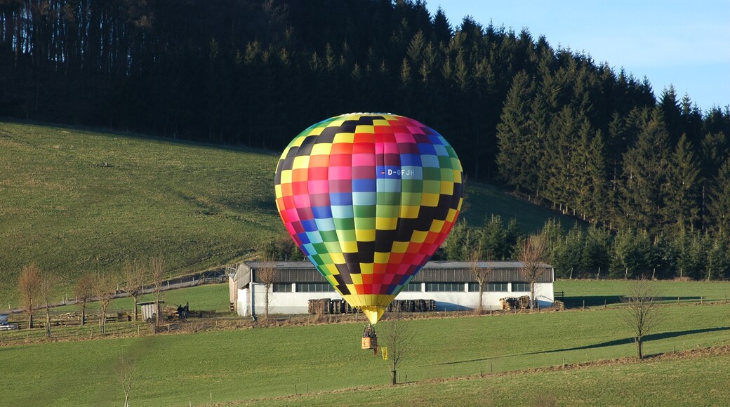 Billede "Schmallenberg" af Axel Schwenke (CC BY-SA) / beskåret fra det originale billede