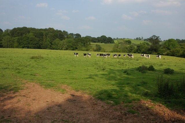 "Boraston"-foto av Philip Halling (CC BY-SA) / Urklipp från original