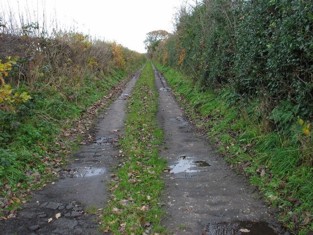 Kuva ”Little Budworth” käyttäjältä Ian Nadin (CC BY-SA) / rajattu alkuperäisestä kuvasta