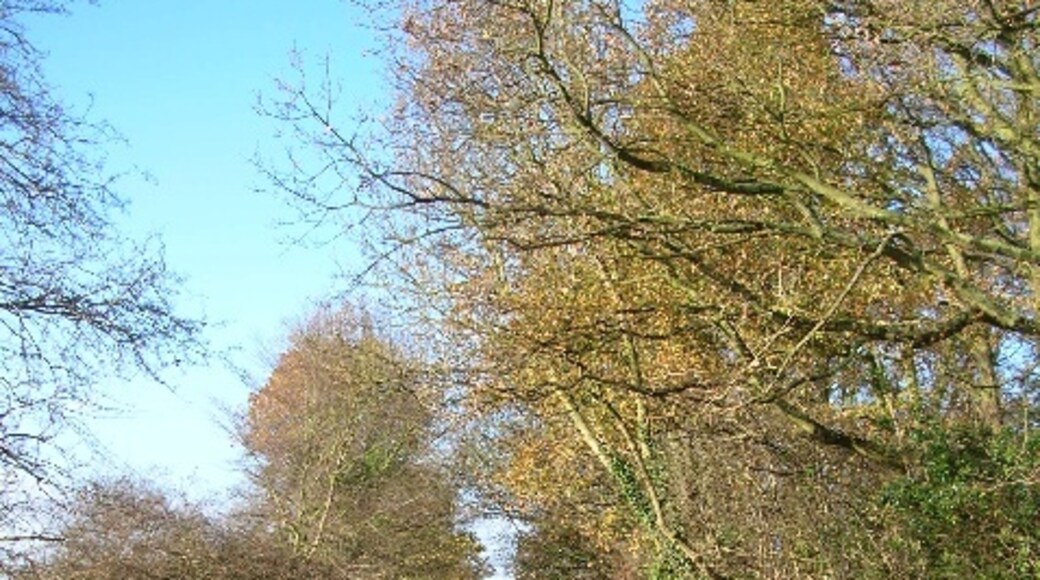 "Acaster Selby"-foto av DS Pugh (CC BY-SA) / Urklipp från original