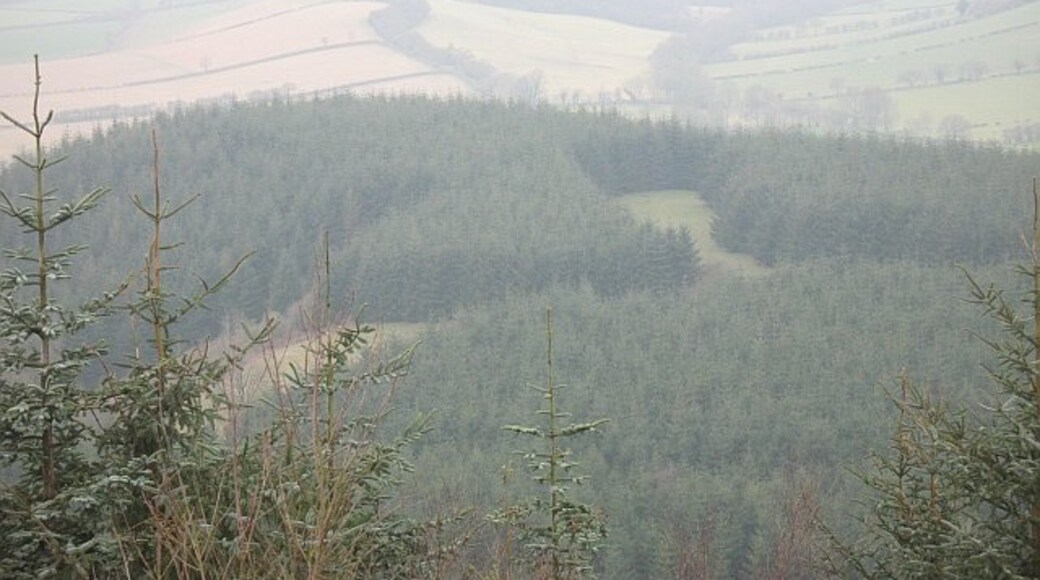 Photo "Pipe Aston" by Richard Webb (CC BY-SA) / Cropped from original