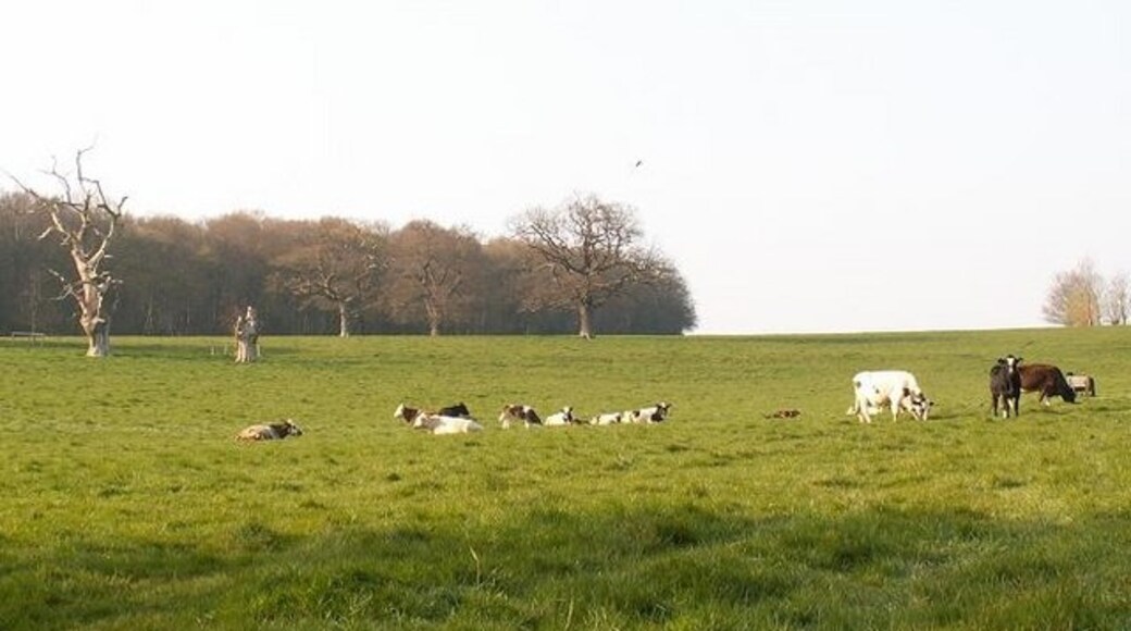 Foto „Denton“ von Richard Rice (CC BY-SA)/zugeschnittenes Original