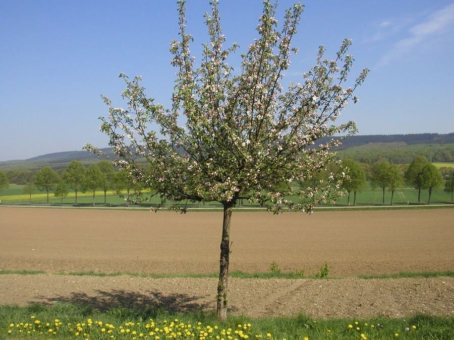 Vorwohle, Blick auf B64
