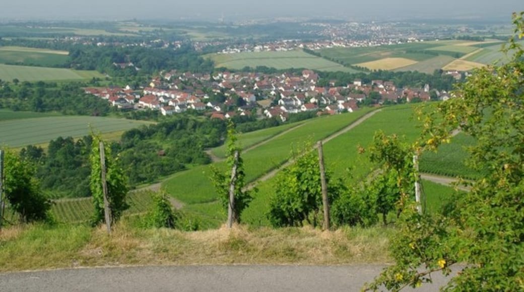 Foto „Steinheim an der Murr“ von K-H Lipp on geo.hlipp.de (CC BY-SA)/zugeschnittenes Original