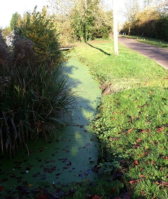 "Tring Rural"-foto av Rob Farrow (CC BY-SA) / Urklipp från original