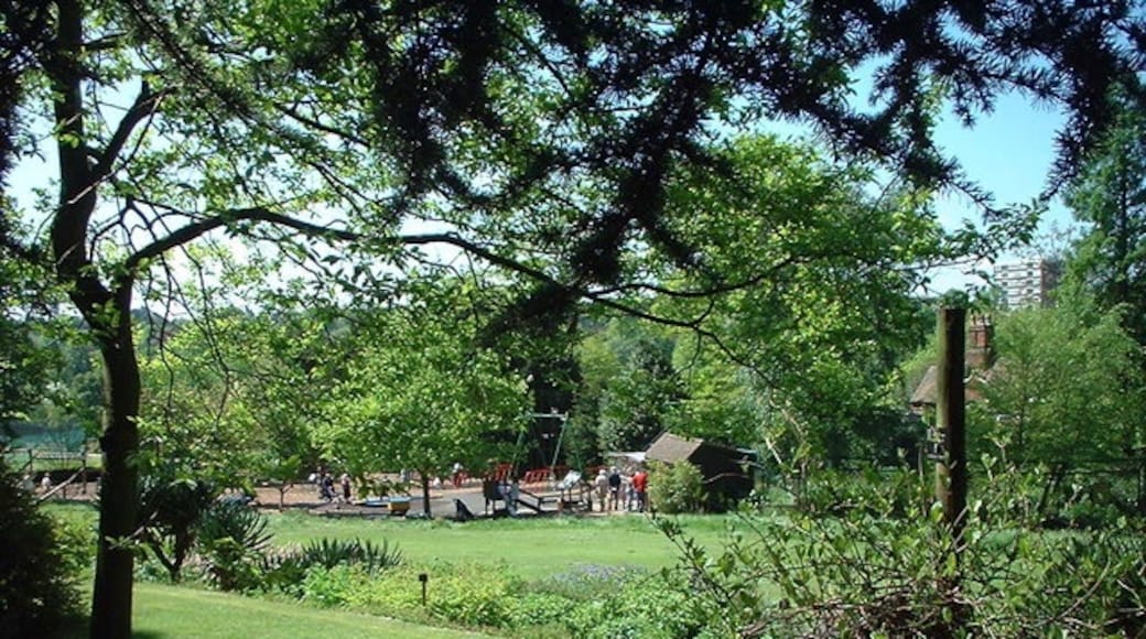 ภาพ "สวนพฤกษชาติ Birmingham" โดย Michael Westley (CC BY-SA) / ตัดภาพจากขนาดต้นฉบับ