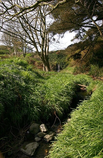 Perwick Glen. From near the footpath between Fistard and the beach.