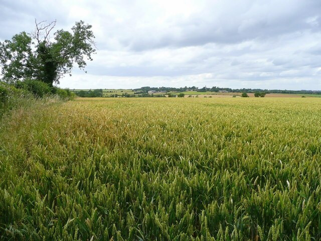 "Winwick"-foto av Jonathan Billinger (CC BY-SA) / Urklipp från original