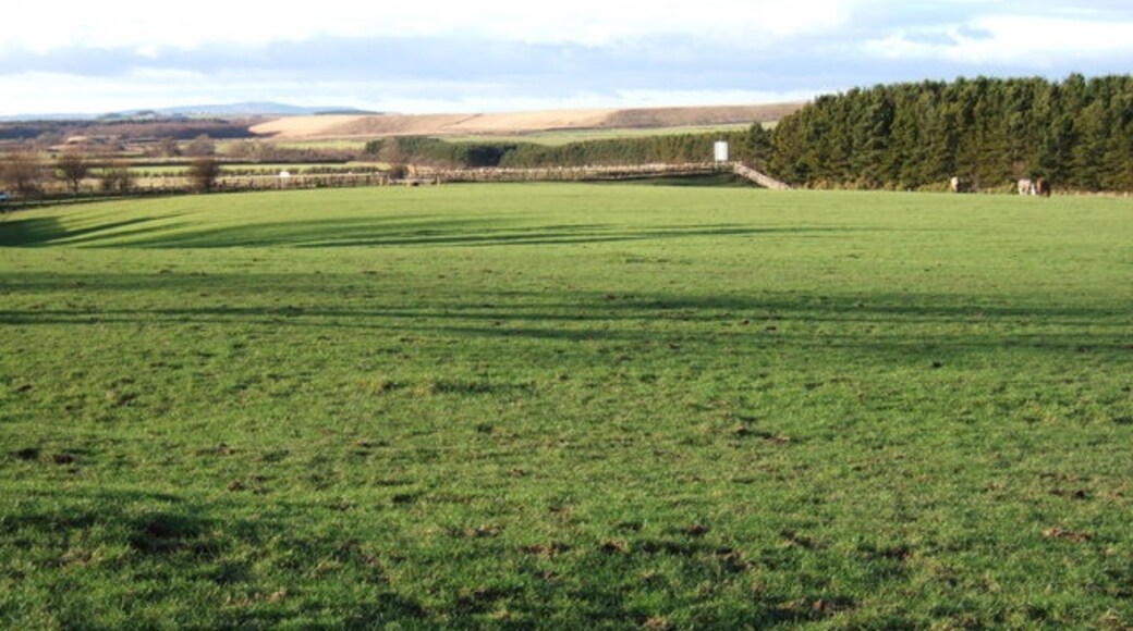 Photo "Widdrington" by Derek Harper (CC BY-SA) / Cropped from original
