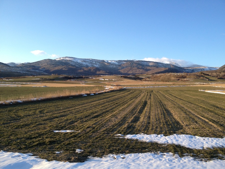 Llivia