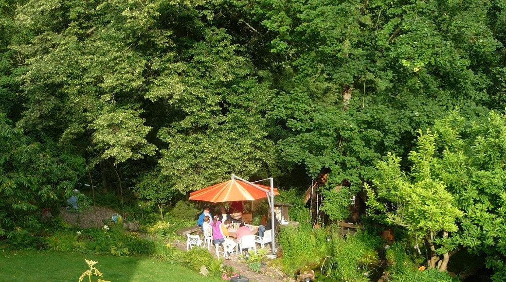 Foto "Lindenberg" de Immanuel Giel (CC BY) / Recortada de la original