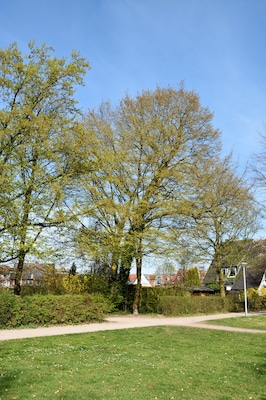 This image was uploaded as part of Wiki Loves Earth 2015.
