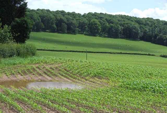 Photo "Monkhopton" by Roger Kidd (CC BY-SA) / Cropped from original