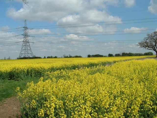 "Asgarby och Howell"-foto av Donnylad (CC BY-SA) / Urklipp från original