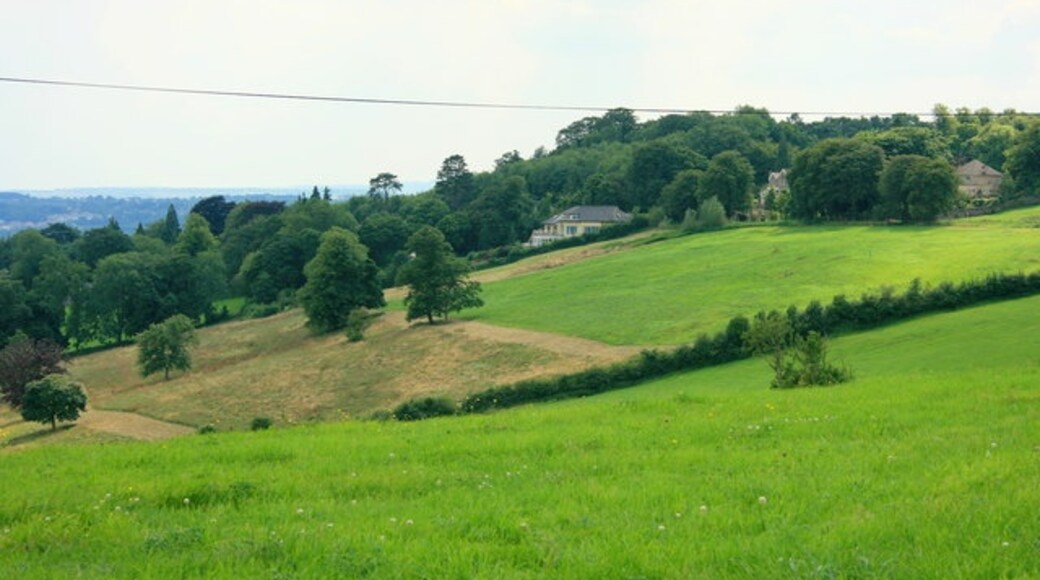 Kuva ”Charlcombe” käyttäjältä Maurice Pullin (CC BY-SA) / rajattu alkuperäisestä kuvasta