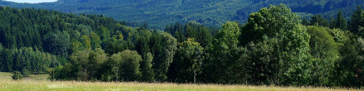 Photo "The Čerchov mountain (Plzeň Region, Czechia)." by Ondřej Žváček (Creative Commons Attribution 2.5) / Cropped from original