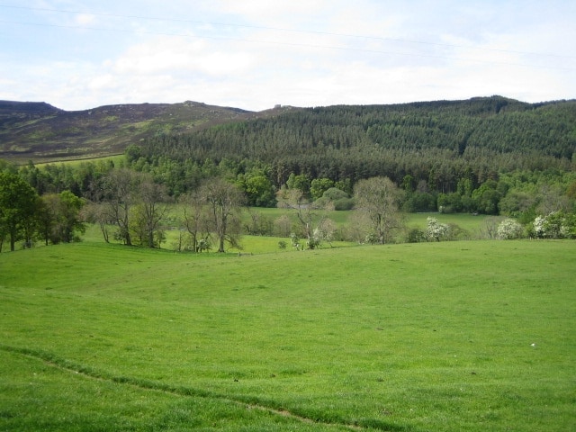 Coquetdale near Low Alwinton. This view looking south from the bridleway between Low Alwinton and Harbottle is of the valley of the River Coquet, Coquetdale, with the almost hidden river flowing right to left on the edge of the woods in the middle distance. Beyond the river is Harbottle Woods, and to the left, the Harbottle Hills, both of which are within the Otterburn army training area. For more information about the River Coquet see 456200.