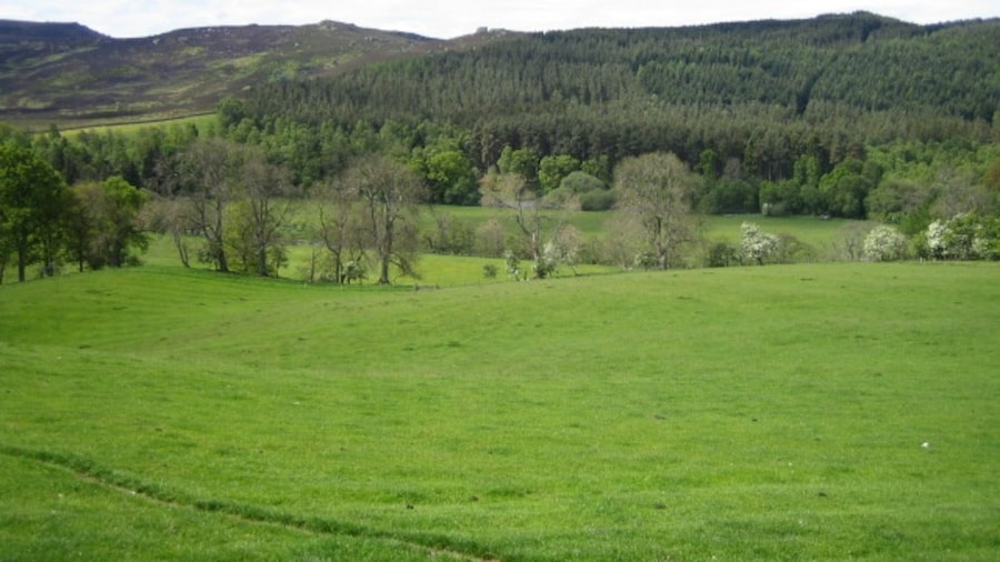 Photo "Coquetdale near Low Alwinton. This view looking south from the bridleway between Low Alwinton and Harbottle is of the valley of the River Coquet, Coquetdale, with the almost hidden river flowing right to left on the edge of the woods in the middle distance. Beyond the river is Harbottle Woods, and to the left, the Harbottle Hills, both of which are within the Otterburn army training area. For more information about the River Coquet see 456200." by Andy Gryce (Creative Commons Attribution-Share Alike 2.0) / Cropped from original