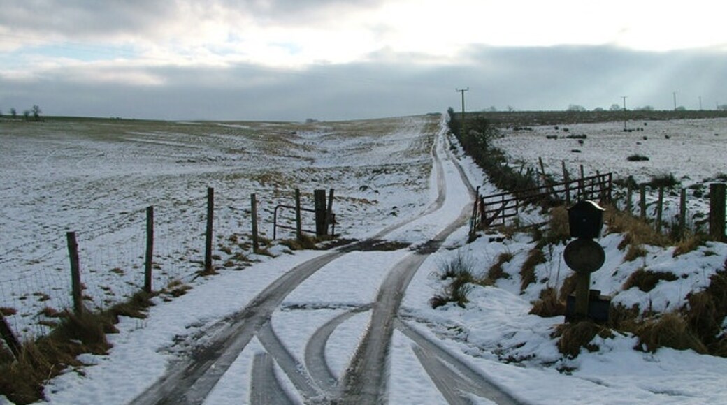 Foto “Hoff” tomada por David Brown (CC BY-SA); recorte de la original