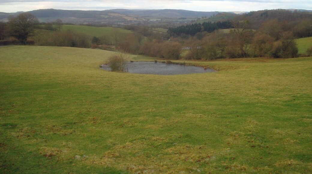 Photo "Burrington" by Trevor Rickard (CC BY-SA) / Cropped from original