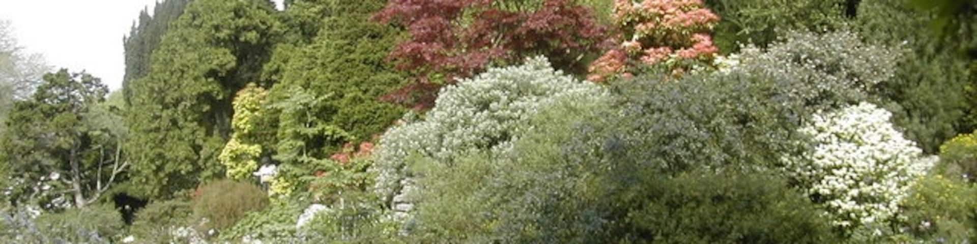 Gardens at Hinton Admiral House — in Hampshire.