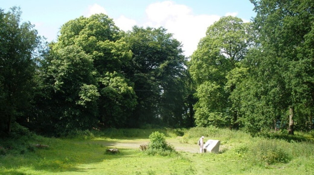 "Curland"-foto av Roger Cornfoot (CC BY-SA) / Urklipp från original